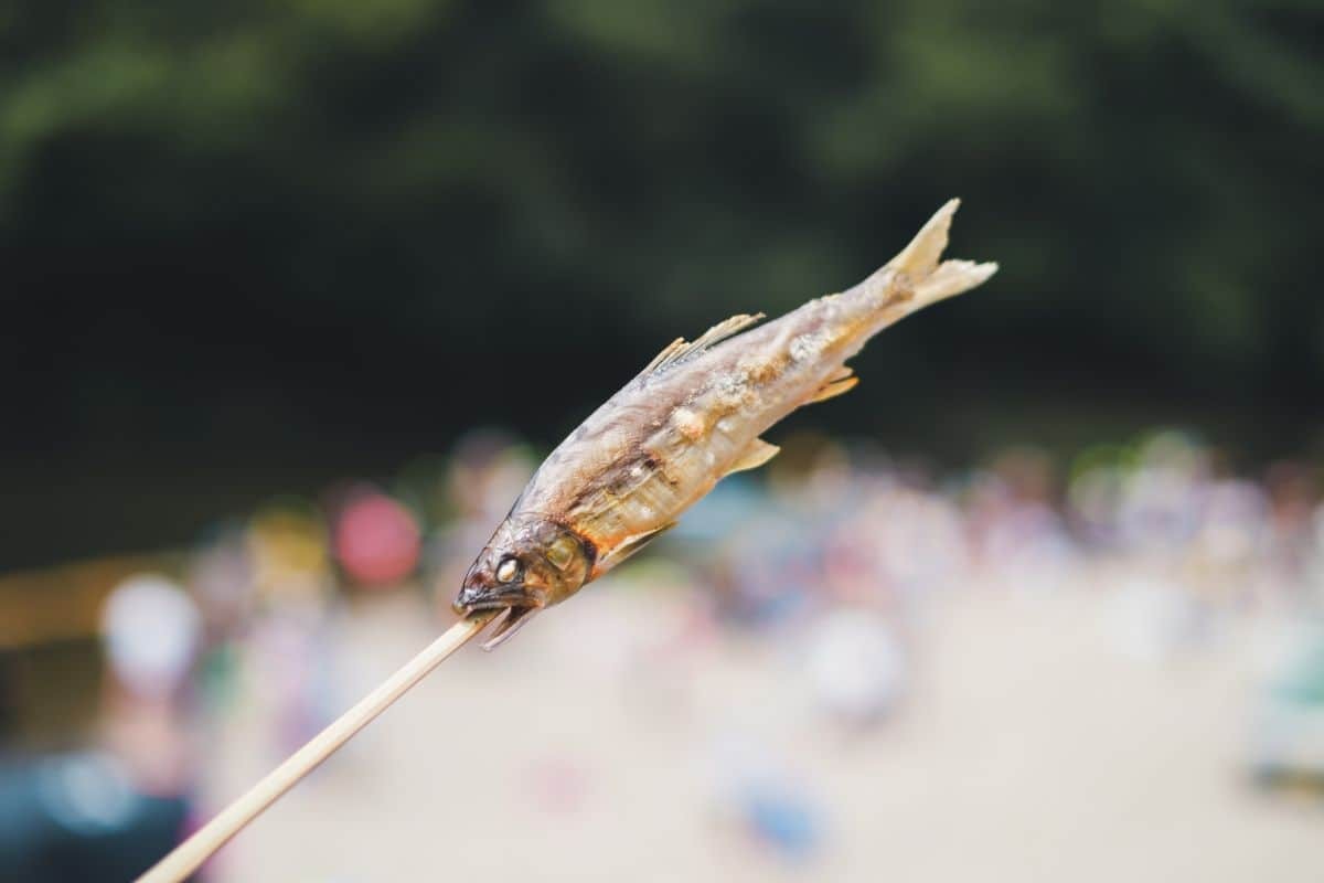 鮎の塩焼き