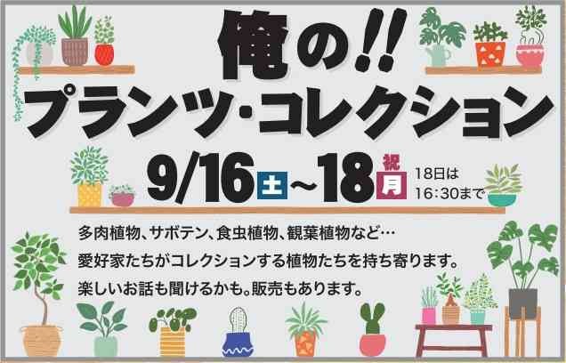 島根県出雲市のイベント「俺の！！プランツ・コレクション」のチラシ