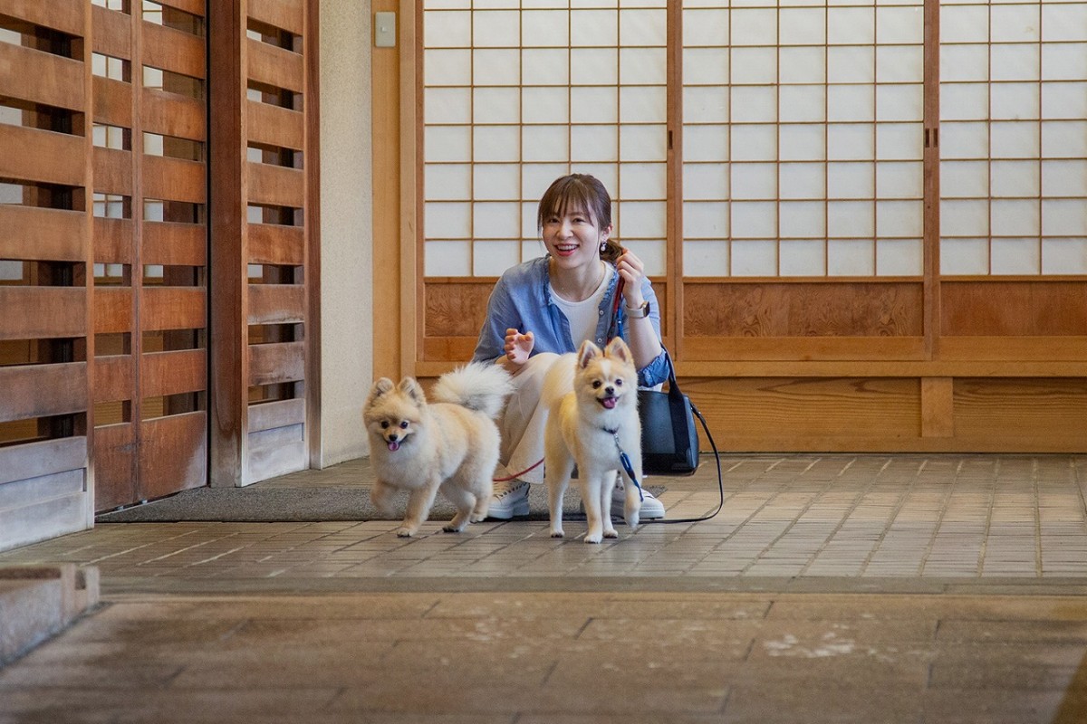 鳥取県米子市の皆生温泉にある『松涛園』のイメージ