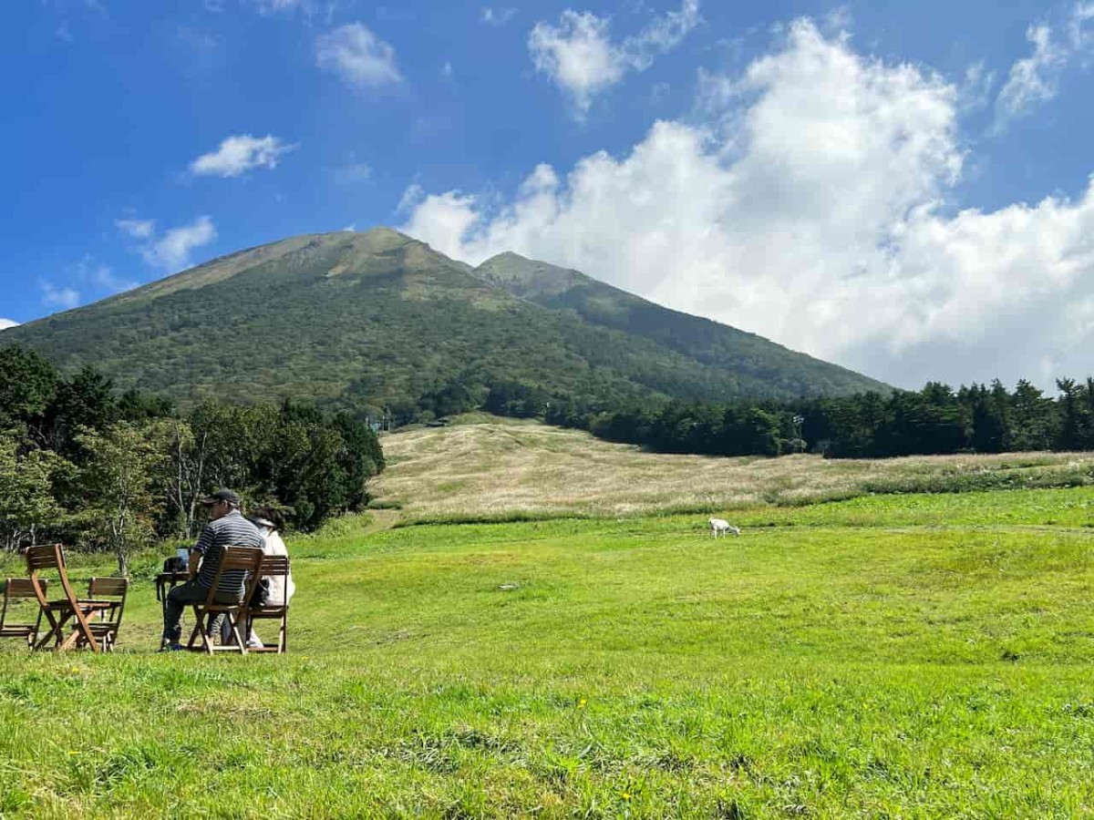 鳥取県西伯郡伯耆町の『天空リフト』近くで見られるススキ畑の様子