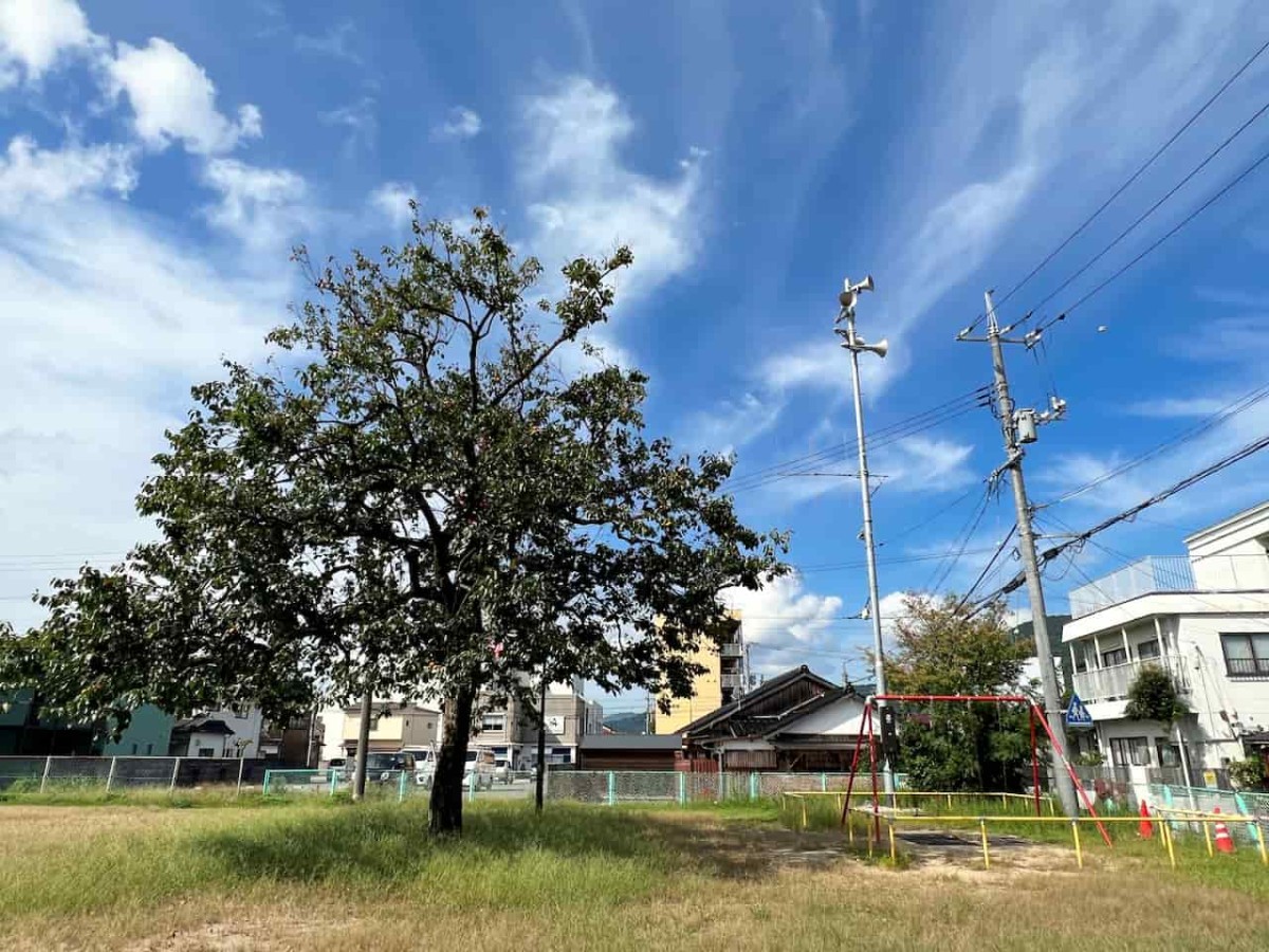 鳥取県境港市にある『日ノ出広場（妖木の公園）』の様子