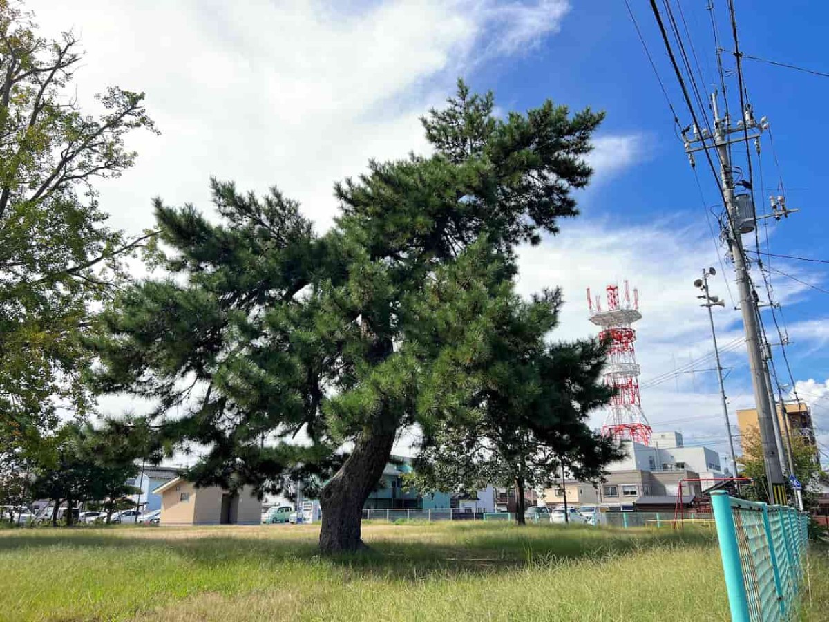 鳥取県境港市にある『日ノ出広場（妖木の公園）』の様子