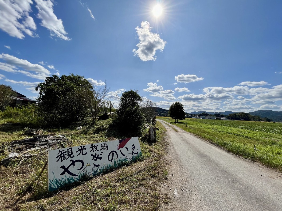 島根県安来市の観光牧場『やぎのいえ』の様子