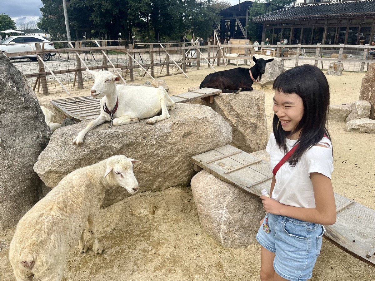 島根県安来市の観光牧場『やぎのいえ』の動物たち