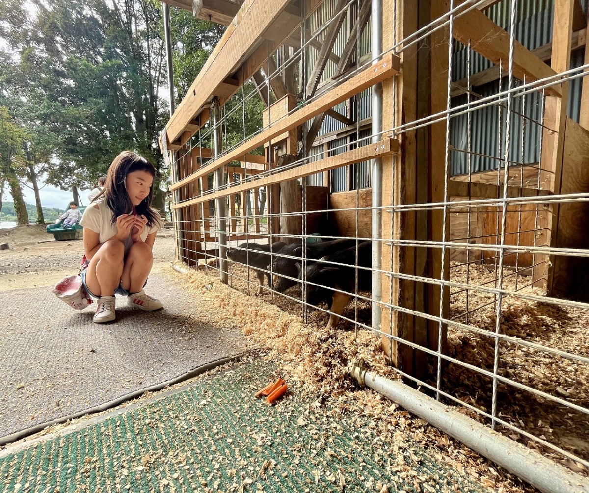 島根県安来市の観光牧場『やぎのいえ』の様子