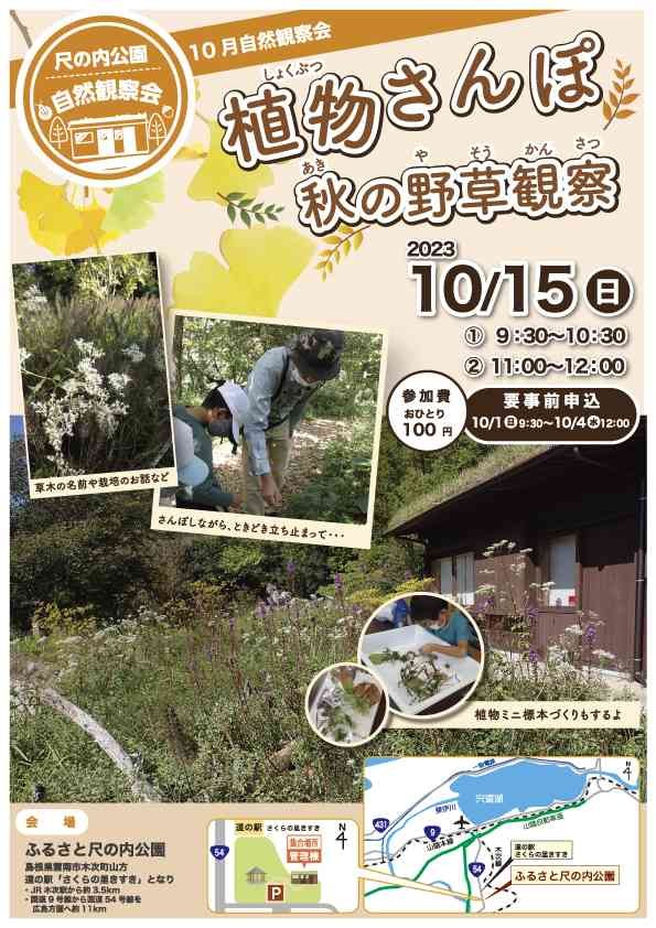 島根県雲南市のイベント「【要予約】ふるさと尺の内公園自然観察会「植物さんぽ 秋の野草観察」」のチラシ