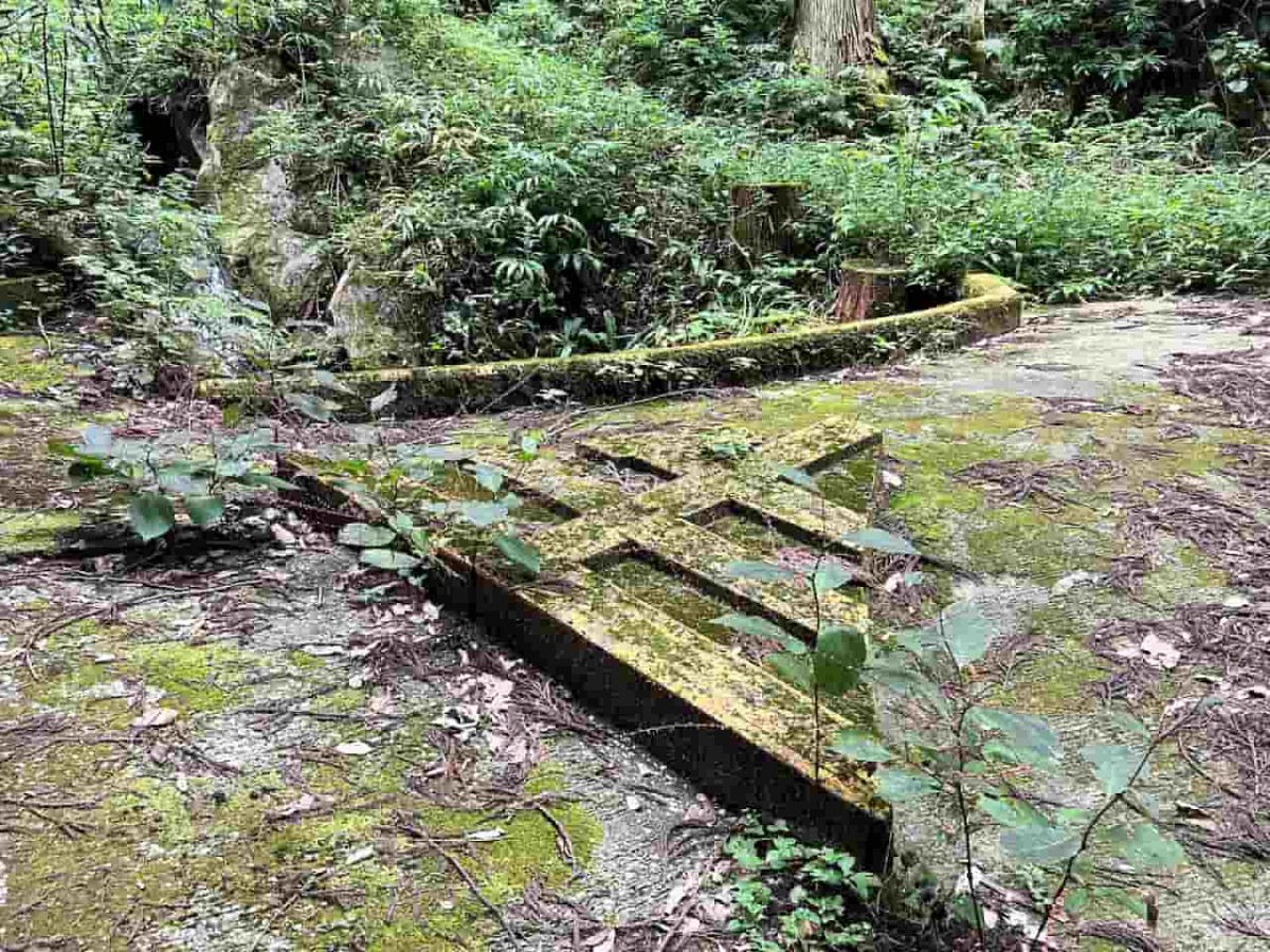 鳥取県智頭町のパワースポット「杉神社」の様子