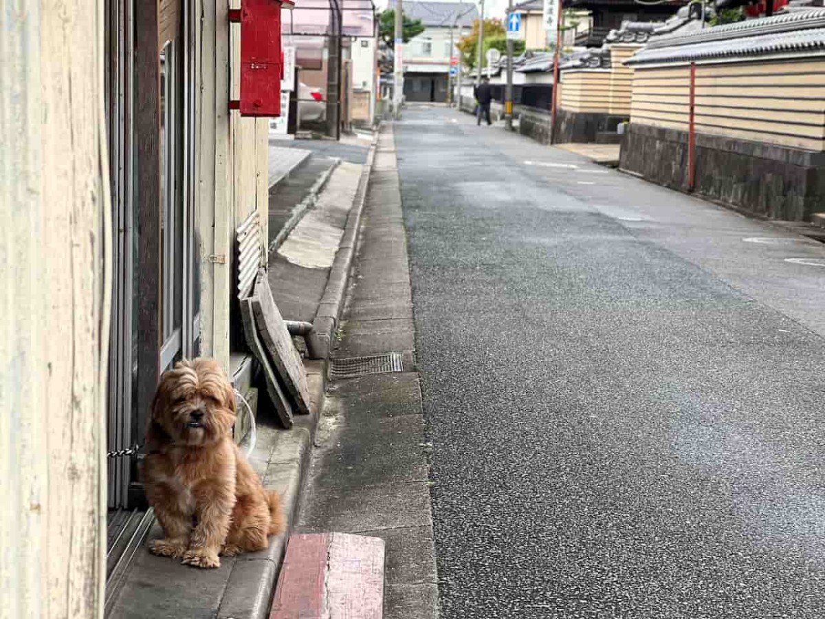 鳥取県米子市の寺町通りの様子