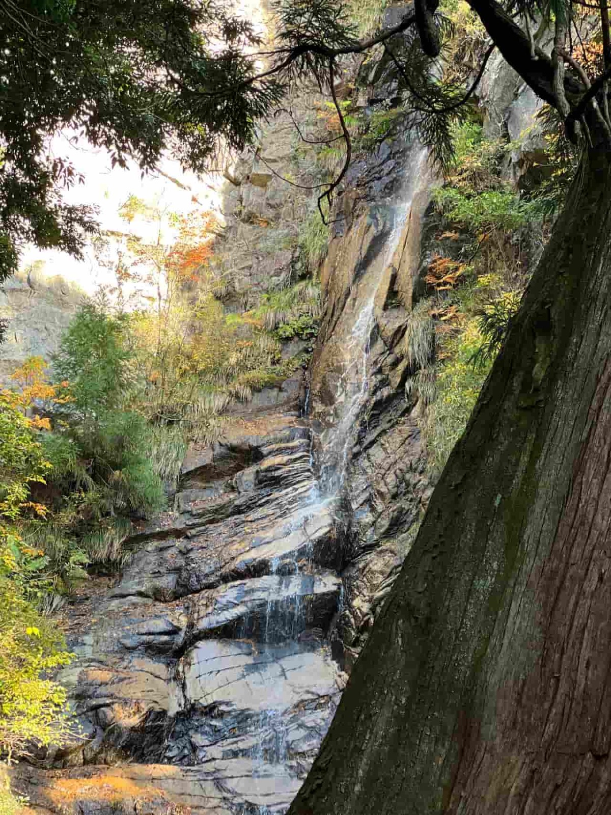 鳥取県日野郡日野町にある『滝山公園』敷地内にある『瀧山神社』裏に流れる滝