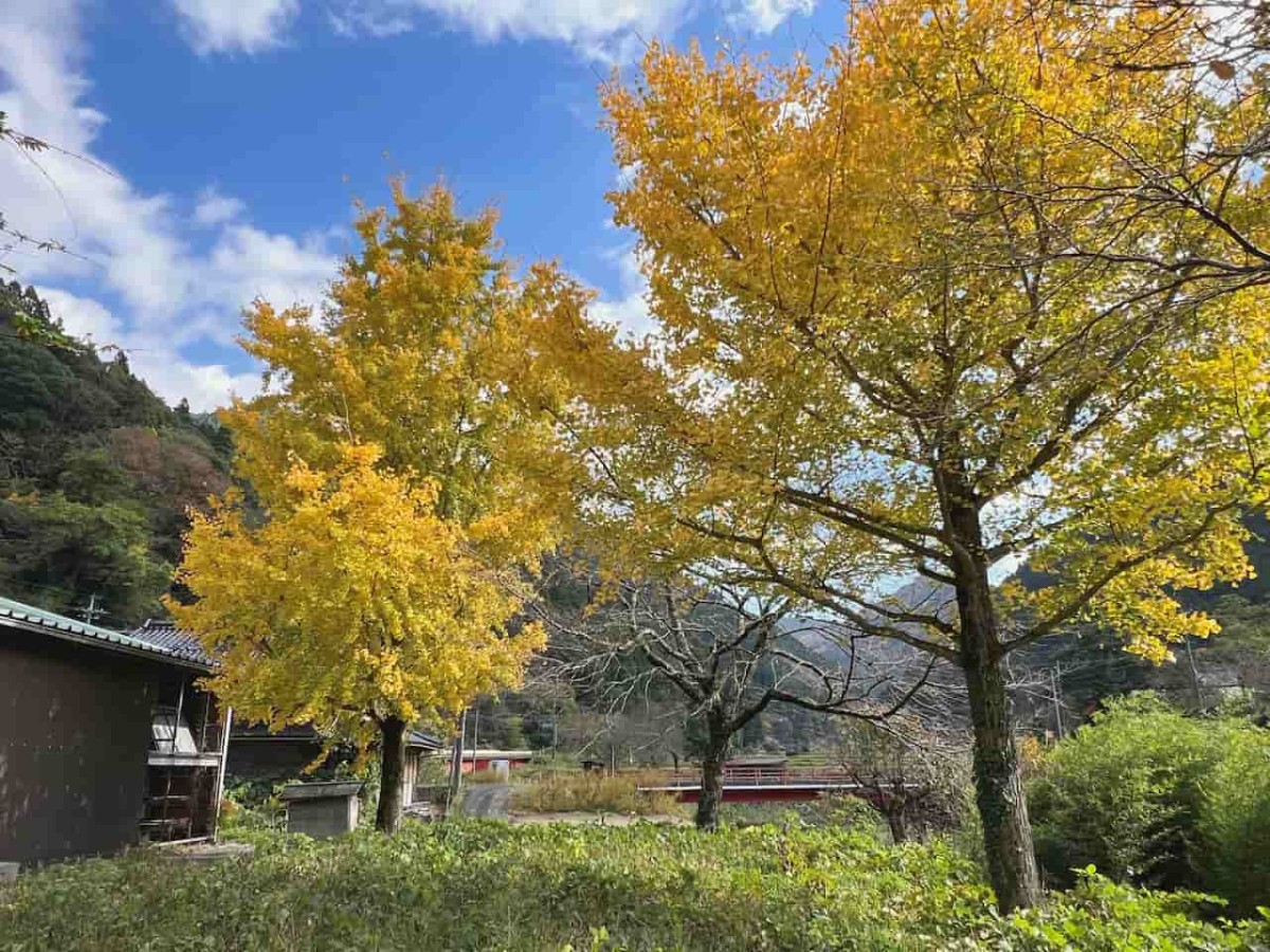 鳥取県日野町にある『金持神社』周辺の様子