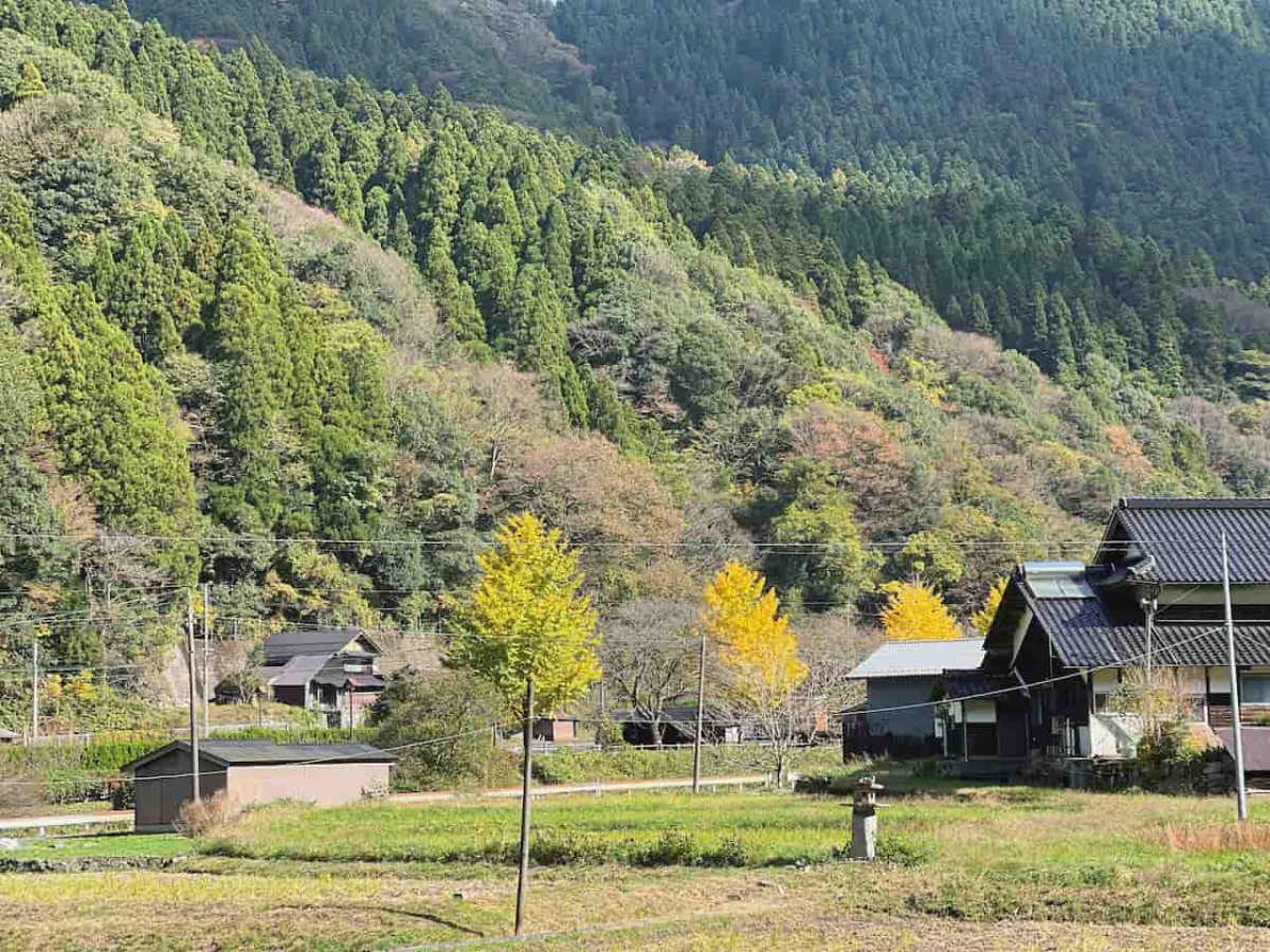 鳥取県日野町にある『金持神社』の様子