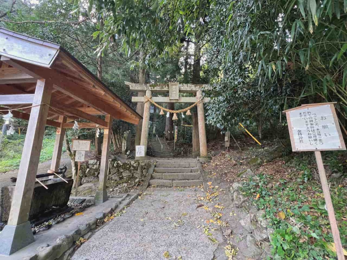 鳥取県日野郡日野町にある『金持神社』の様子