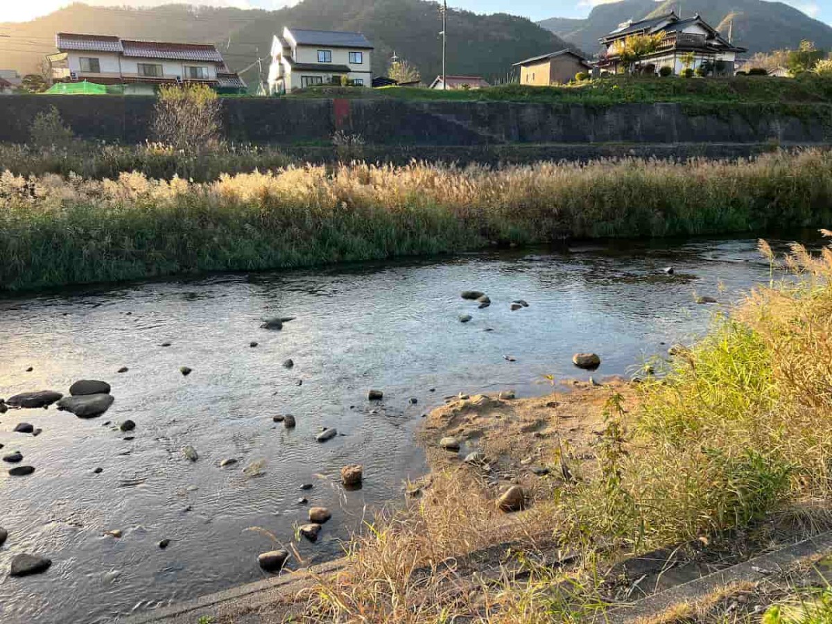 鳥取県日野町にある『黒坂カワコふれあい公園』の様子