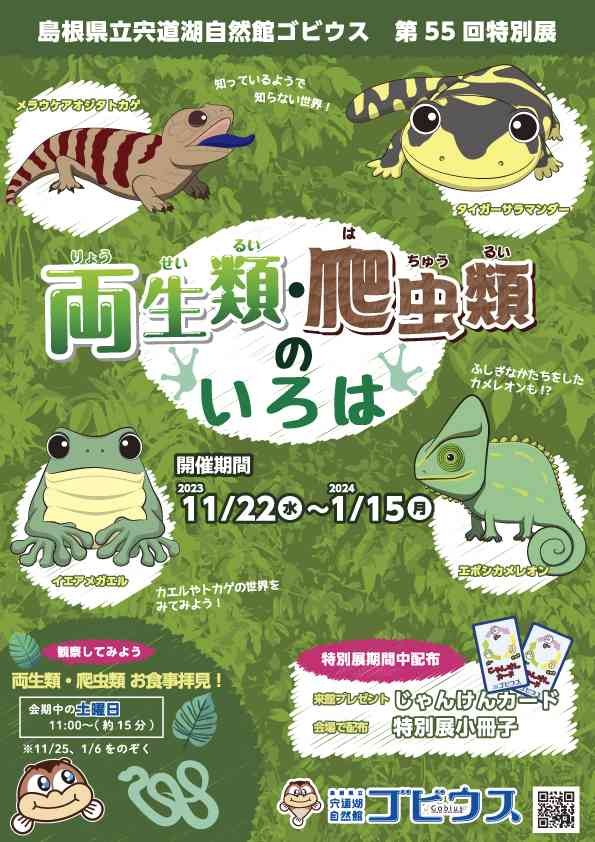 島根県出雲市のイベント「【ゴビウス】第55回特別展「両生類・爬虫類のいろは」」のチラシ