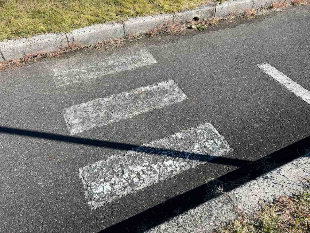 鳥取県鳥取市にある『鳥取市交通公園』の様子