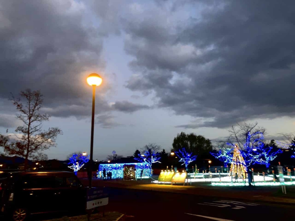 出雲市役所の南側にある「出雲だんだん広場」で開催されているイルミネーションイベント「出雲ミライト2023」の様子