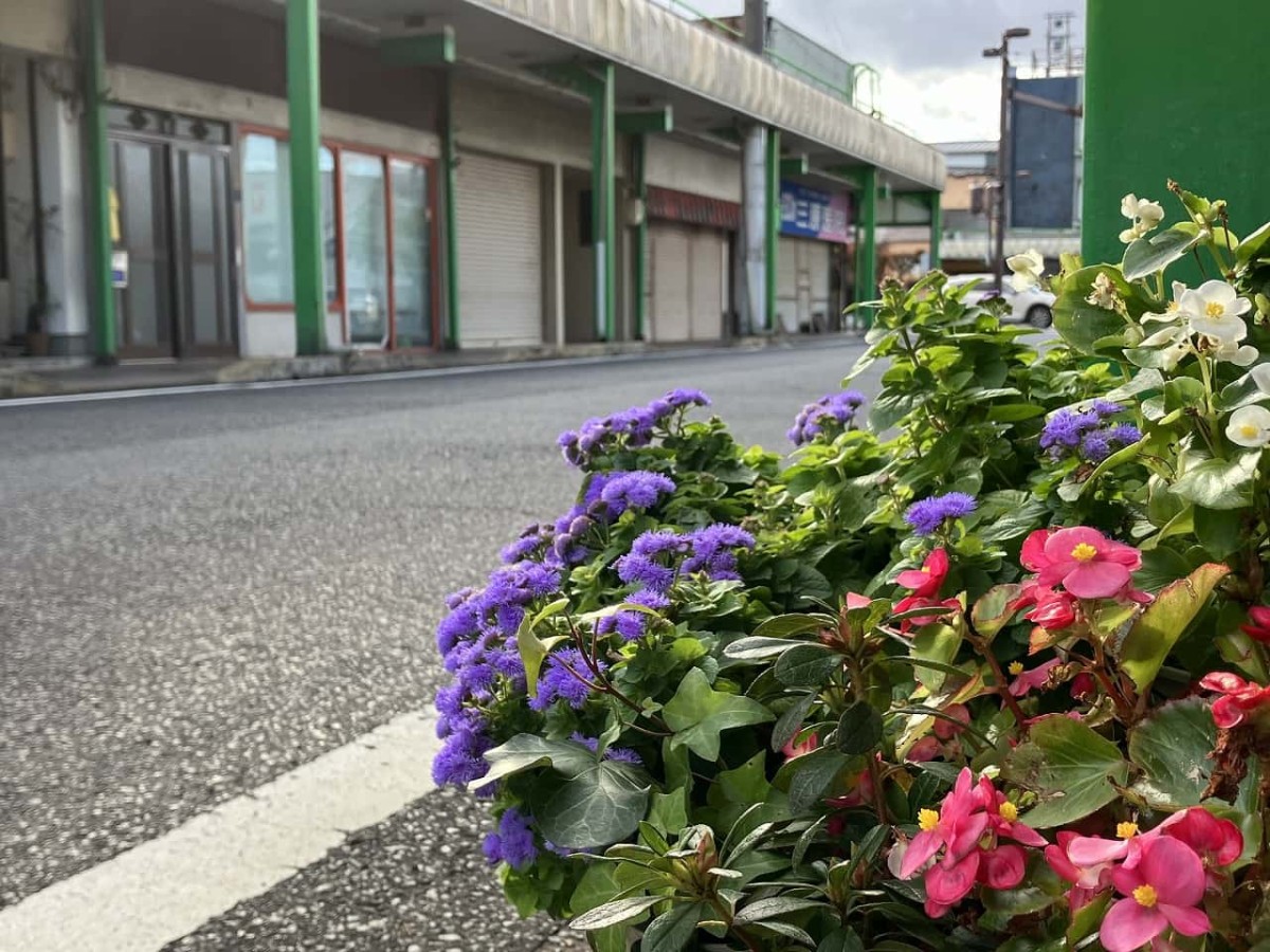 島根県出雲市にある『本町商店街』の様子