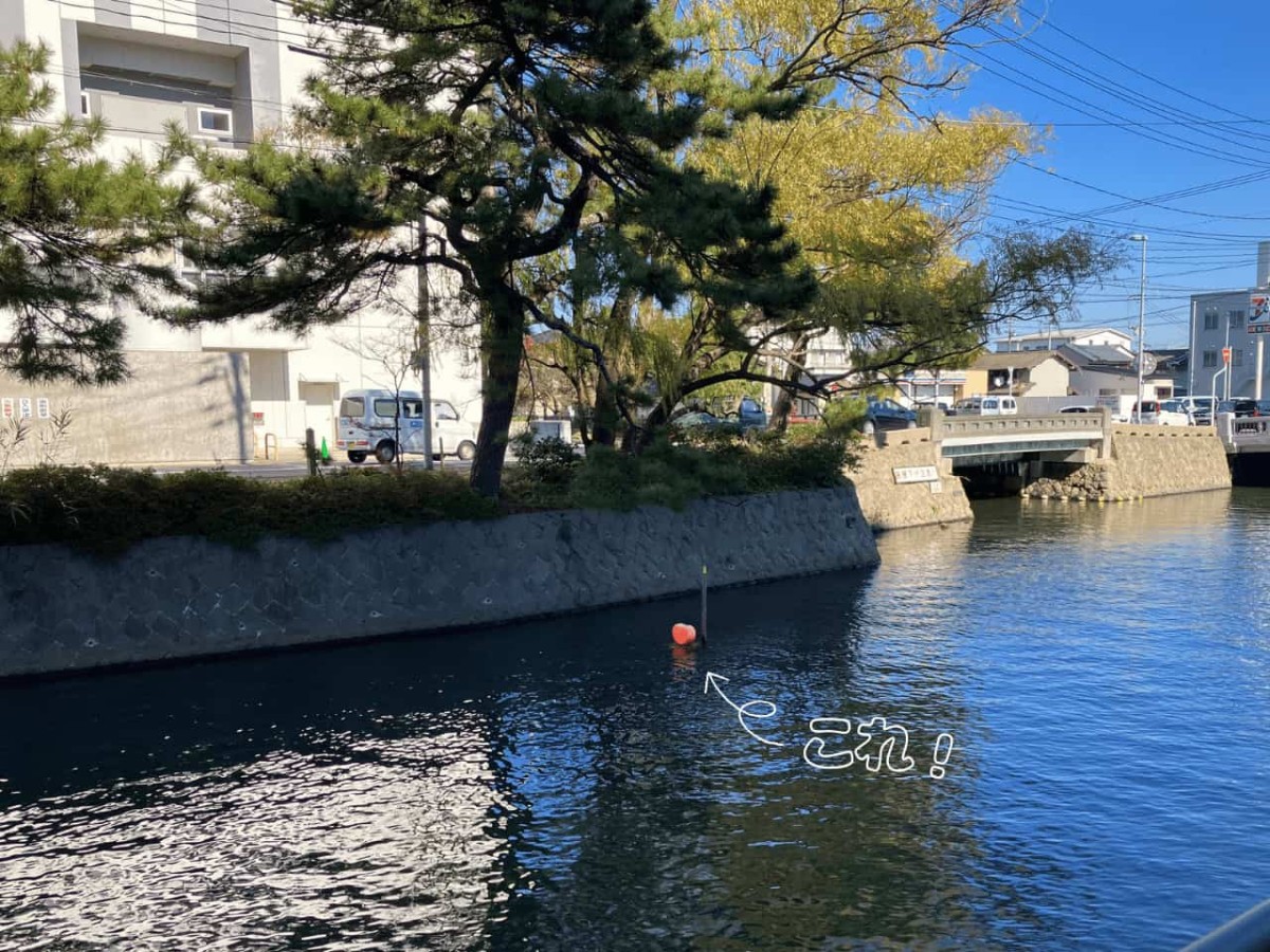 島根県松江市東本町の散歩風景