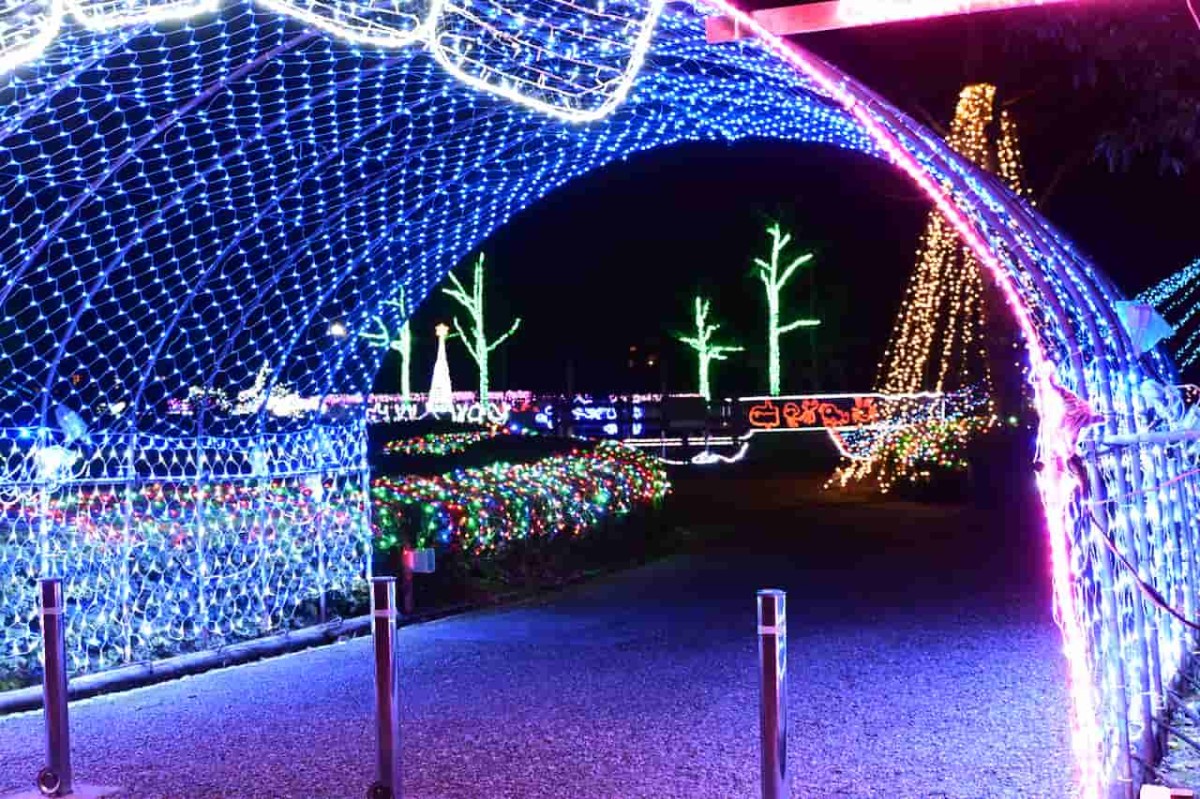 鳥取県湯梨浜町にある『あやめ池公園』のイルミネーションの様子