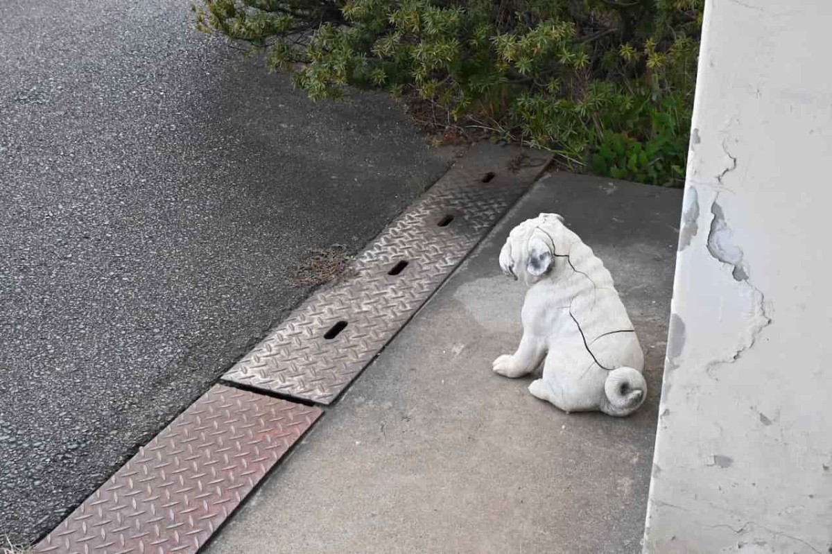 鳥取県米子市にある『和田浜駅』に置かれていた何か