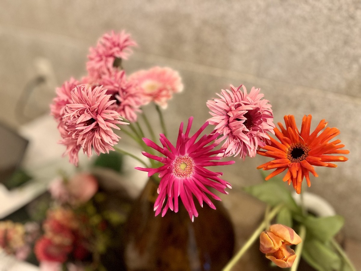 鳥取県米子市の花屋『水性杨花』（シュイシンヤンファ）の商品