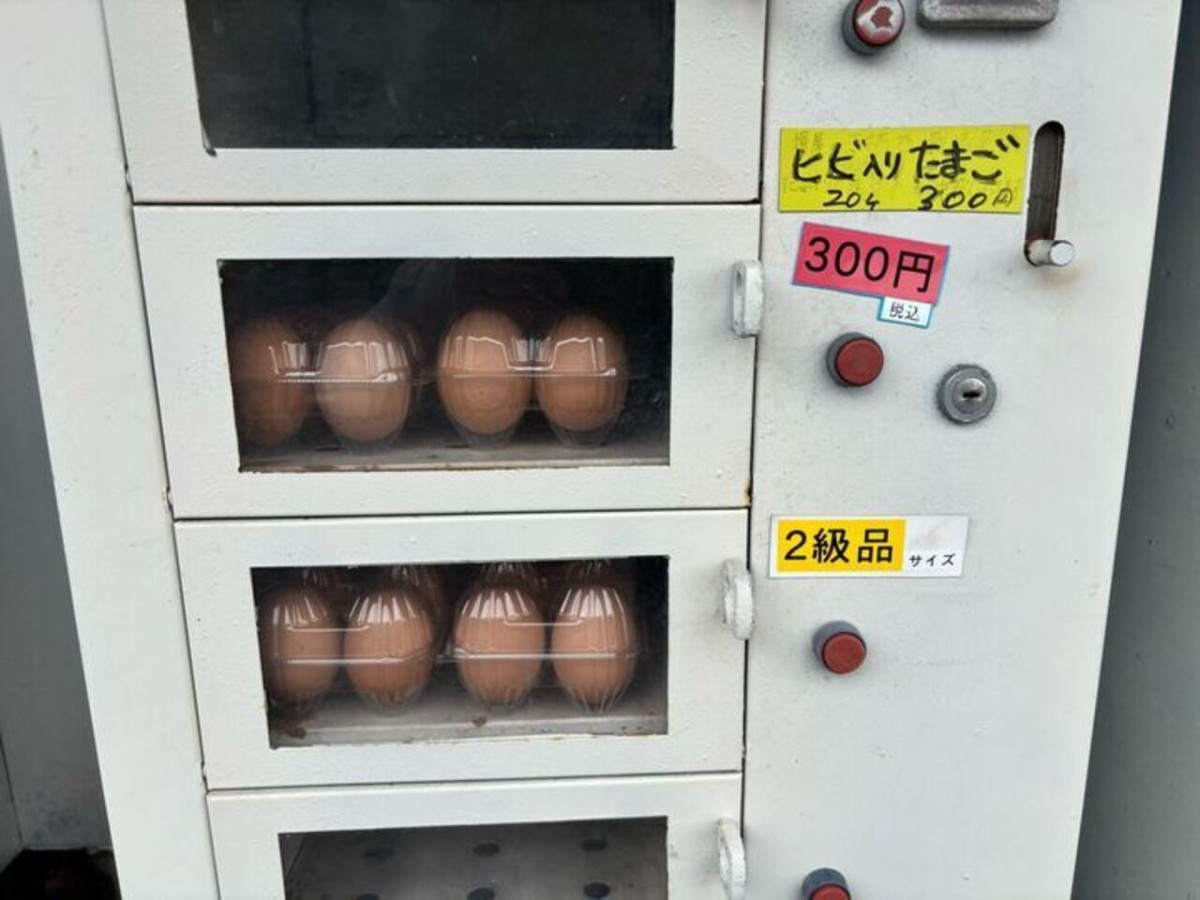 松江市北田町で見つけた卵を販売する自販機