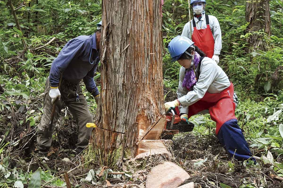 松江市「日新ホールディングス株式会社」の仕事風景