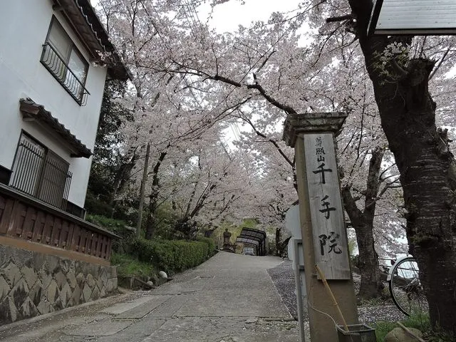 島根県松江市石橋町にある『千手院』