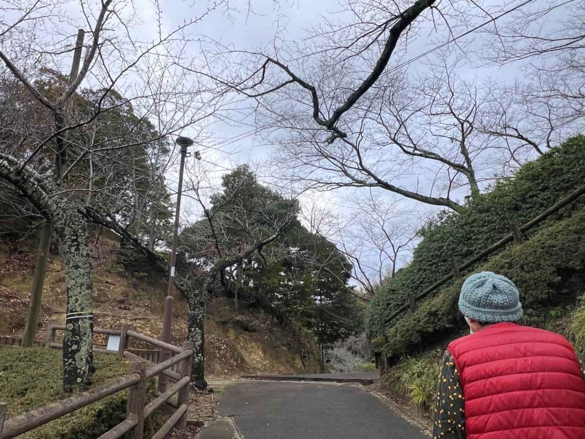 島根県安来市にある『安来公園（社日公園）』の様子