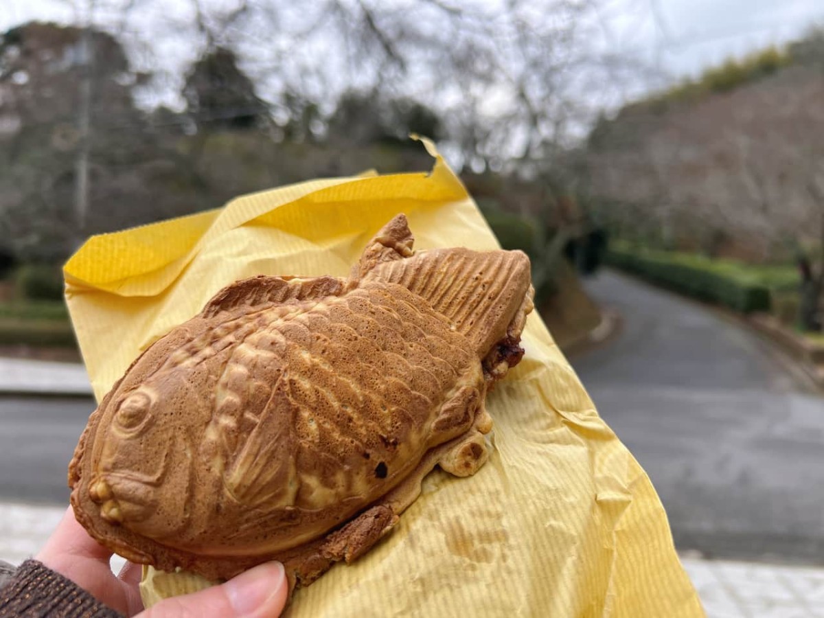 島根県安来市にある『安来公園（社日公園）』近くの『佐川末廣堂』のたい焼き