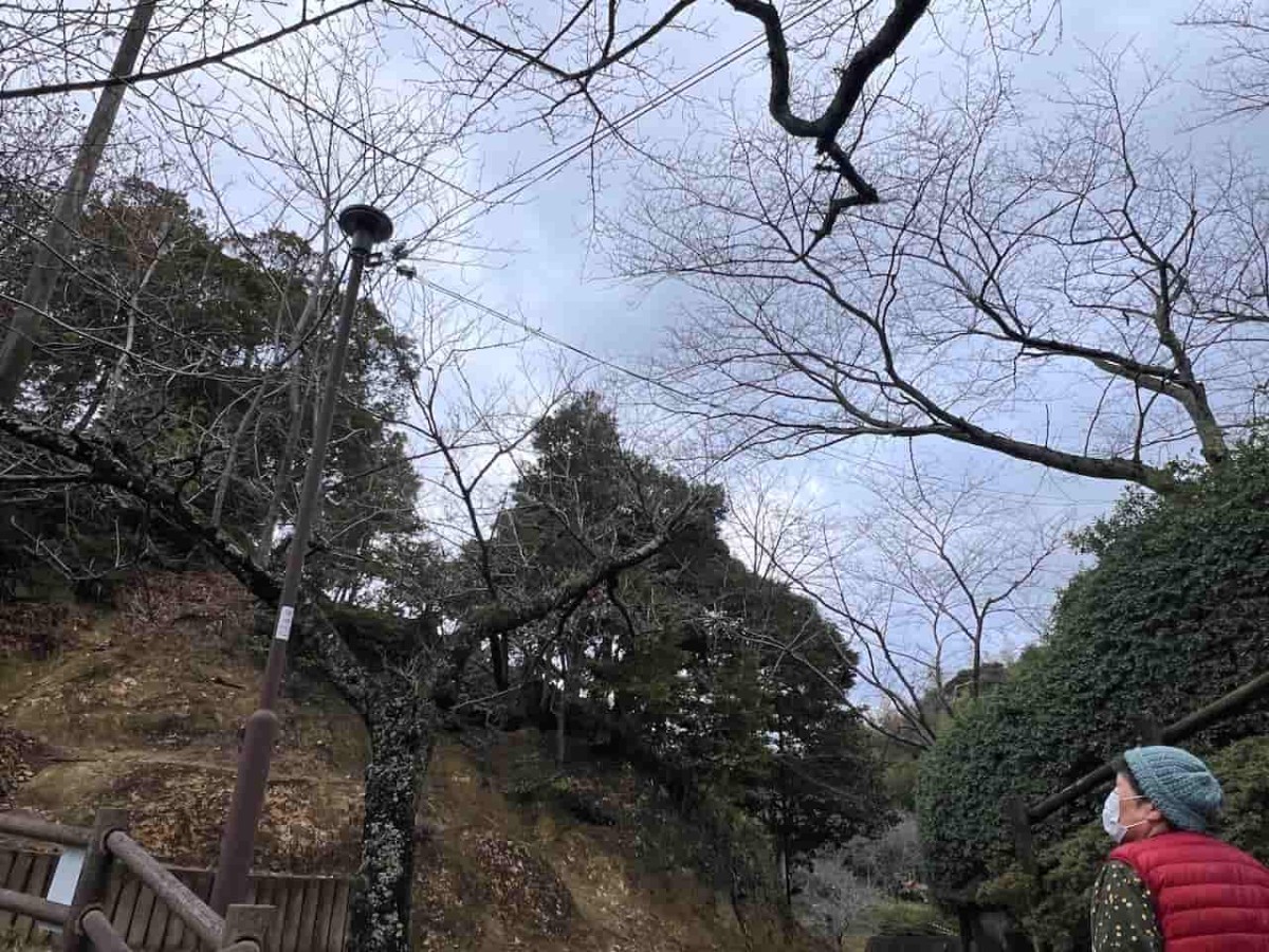 島根県安来市にある『安来公園（社日公園）』の様子