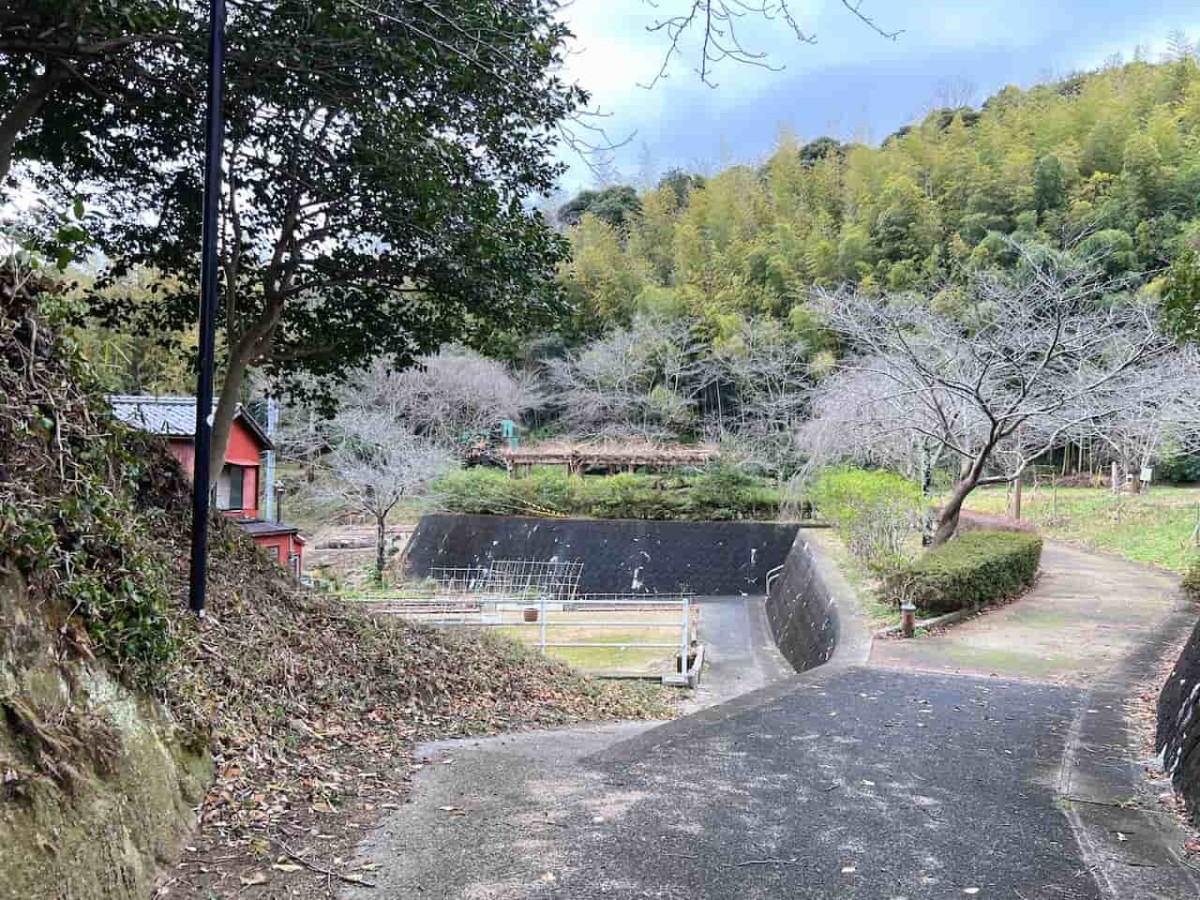 島根県安来市にある『安来公園（社日公園）』の様子