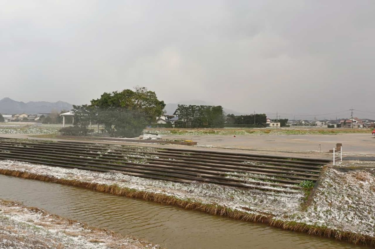 島根県出雲市にある『五右衛門川河川公園』の様子