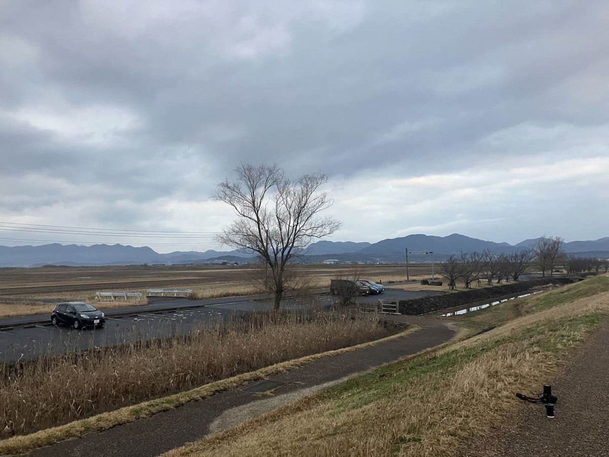 出雲市にある『宍道湖西岸なぎさ公園』での野鳥観察風景