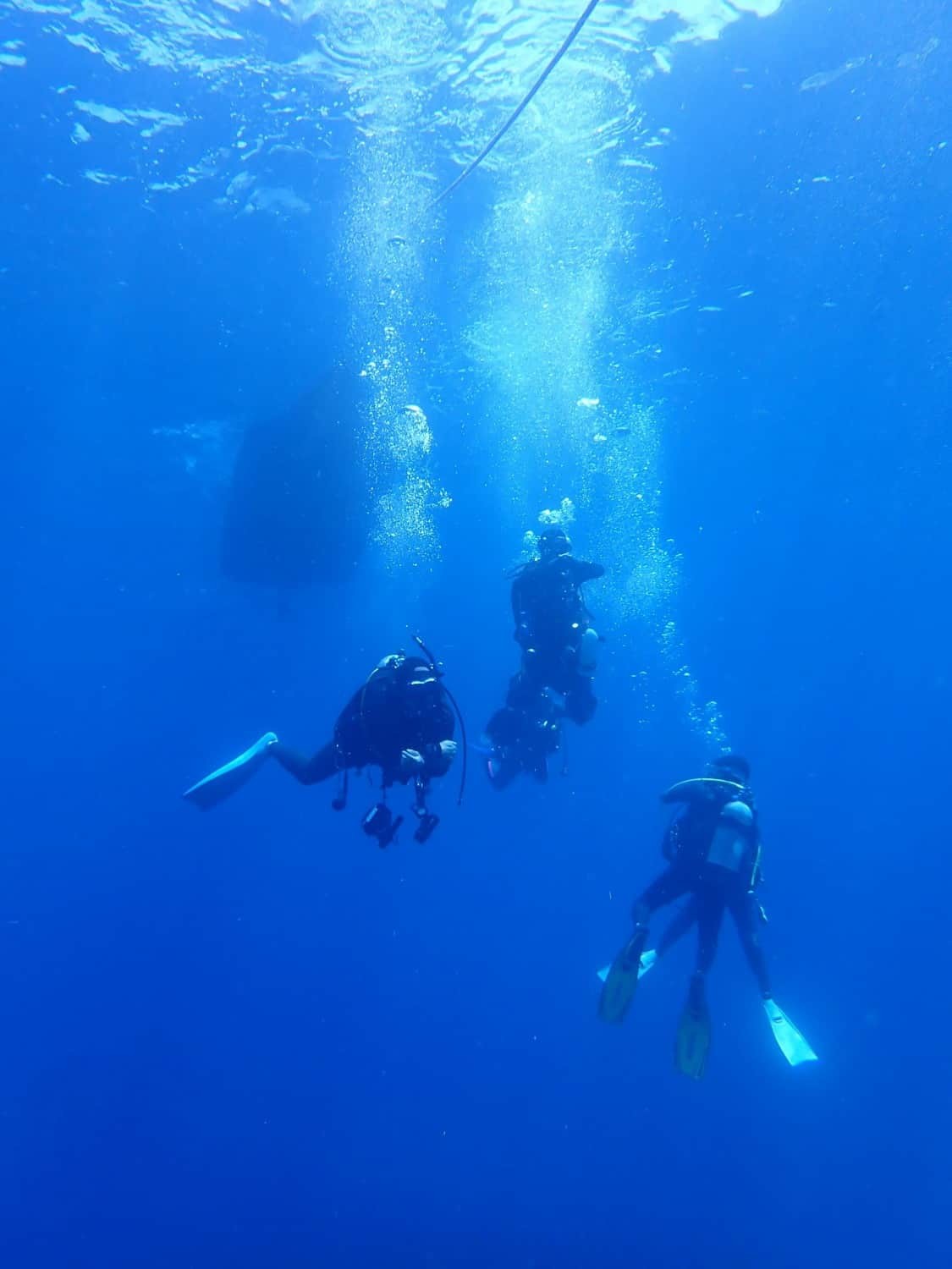 島根県松江市の野波地区の海中