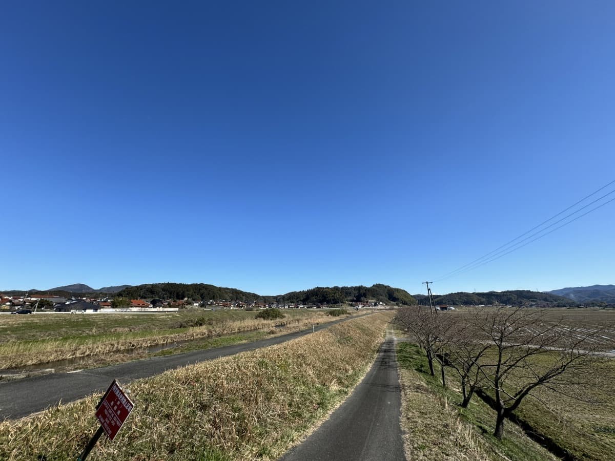 島根県雲南市の早咲きの桜スポット「赤川河津桜」の散策路