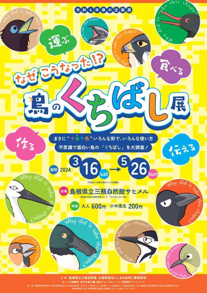 島根県大田市のイベント「春の企画展「なぜ こうなった!?　鳥のくちばし展」」のチラシ