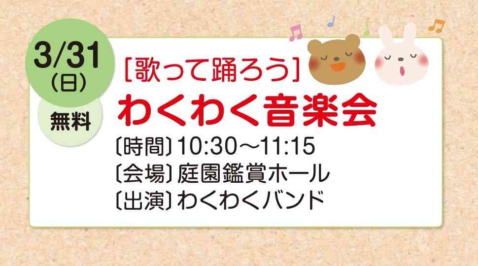 島根県出雲市のイベント「わくわく音楽会」のチラシ