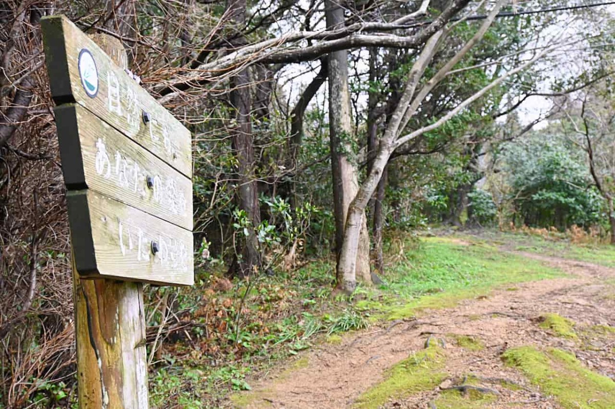 島根県松江市の「朝日山」登山途中の様子