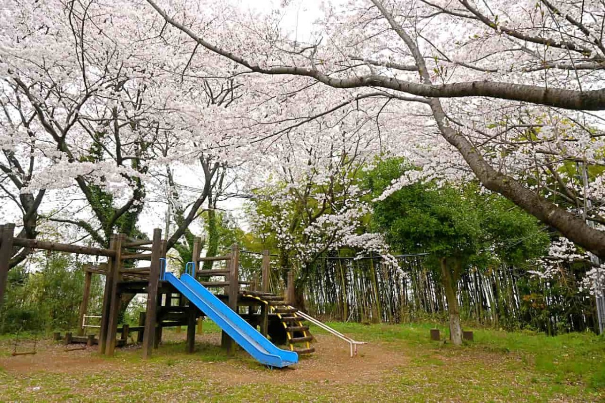 鳥取県倉吉市にある『伯耆しあわせの郷』の広場にある遊具