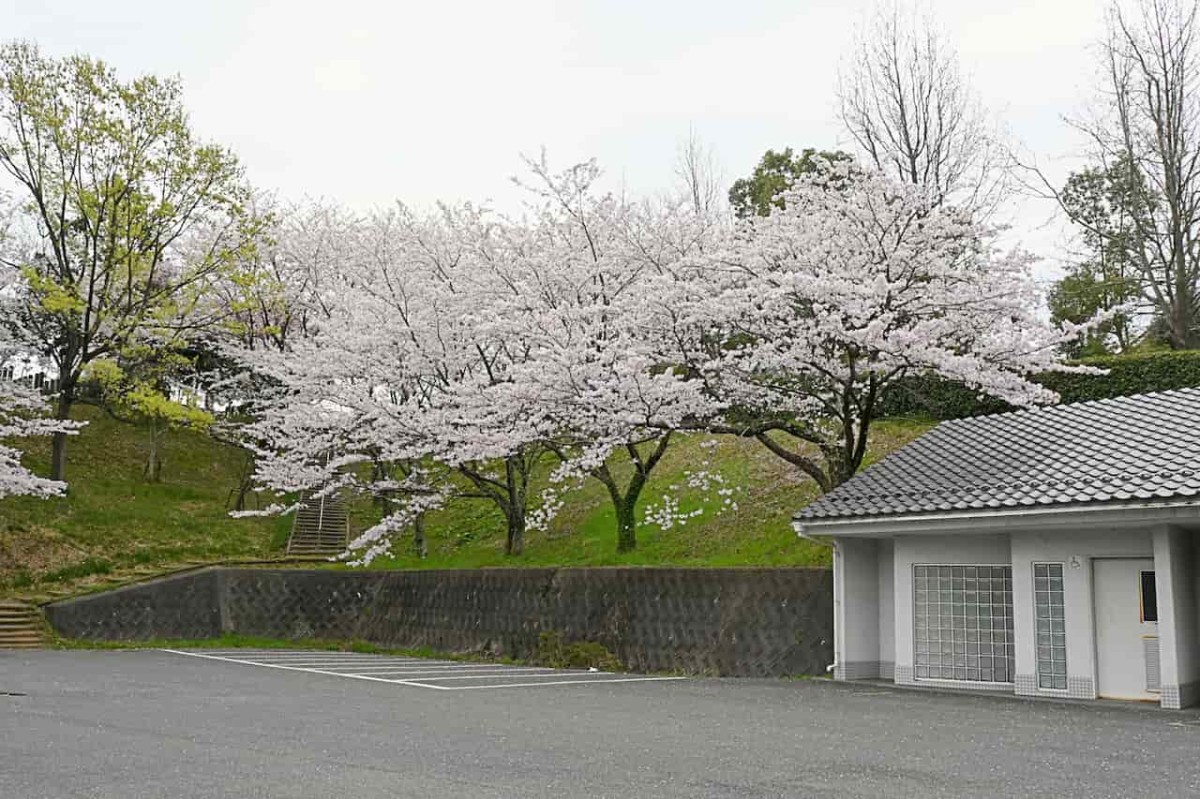 鳥取県倉吉市にある『伯耆しあわせの郷』の駐車場