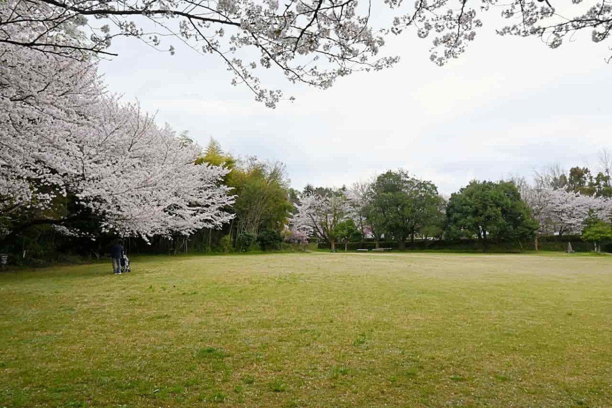 鳥取県倉吉市にある『伯耆しあわせの郷』の広場の様子