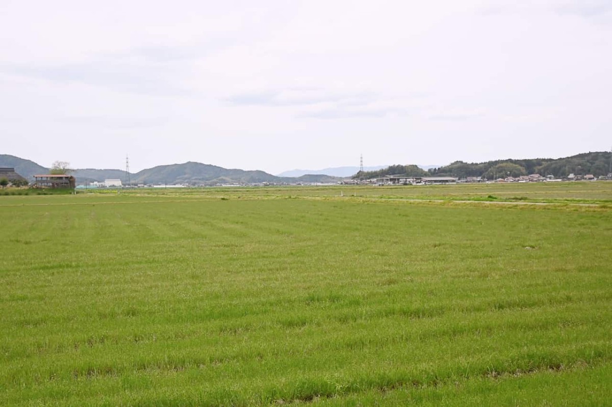 島根県安来市の白鳥ロードあたり