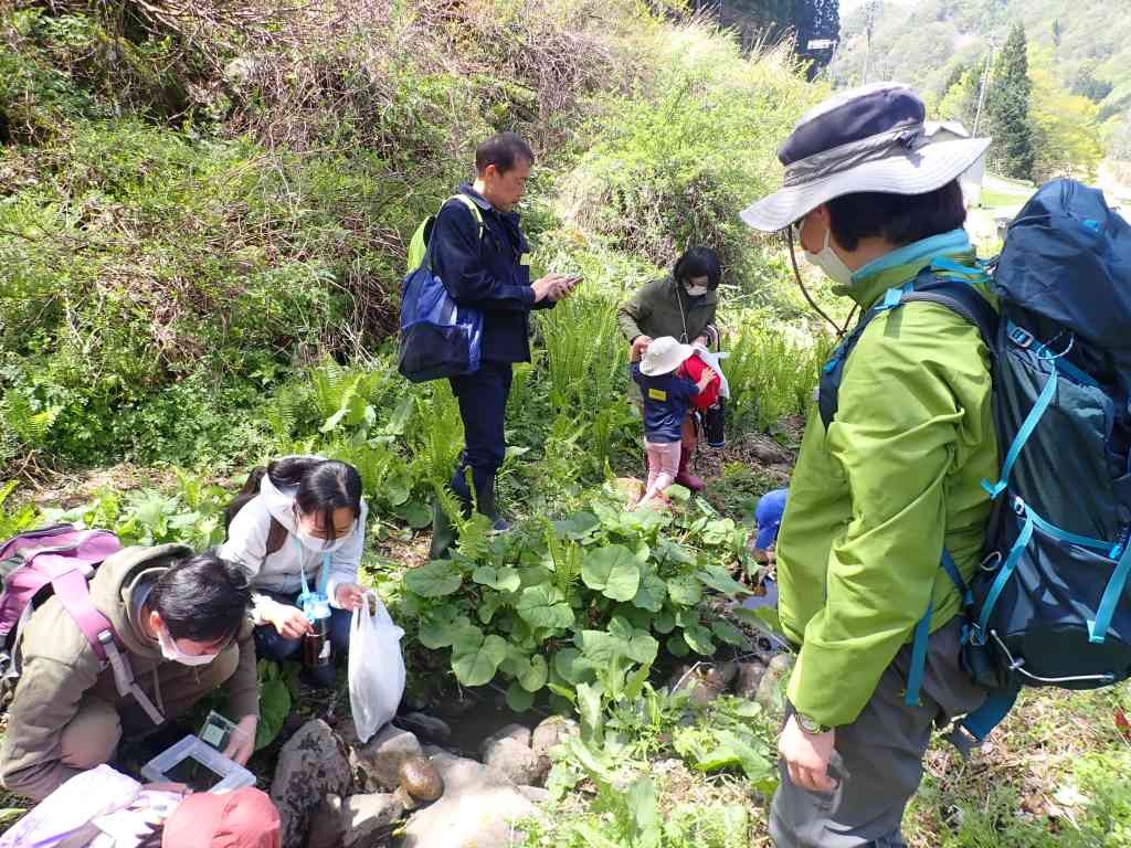 鳥取県八頭郡若桜町のイベント「【要予約】森のようちえん＋（プラス）」のイメージ