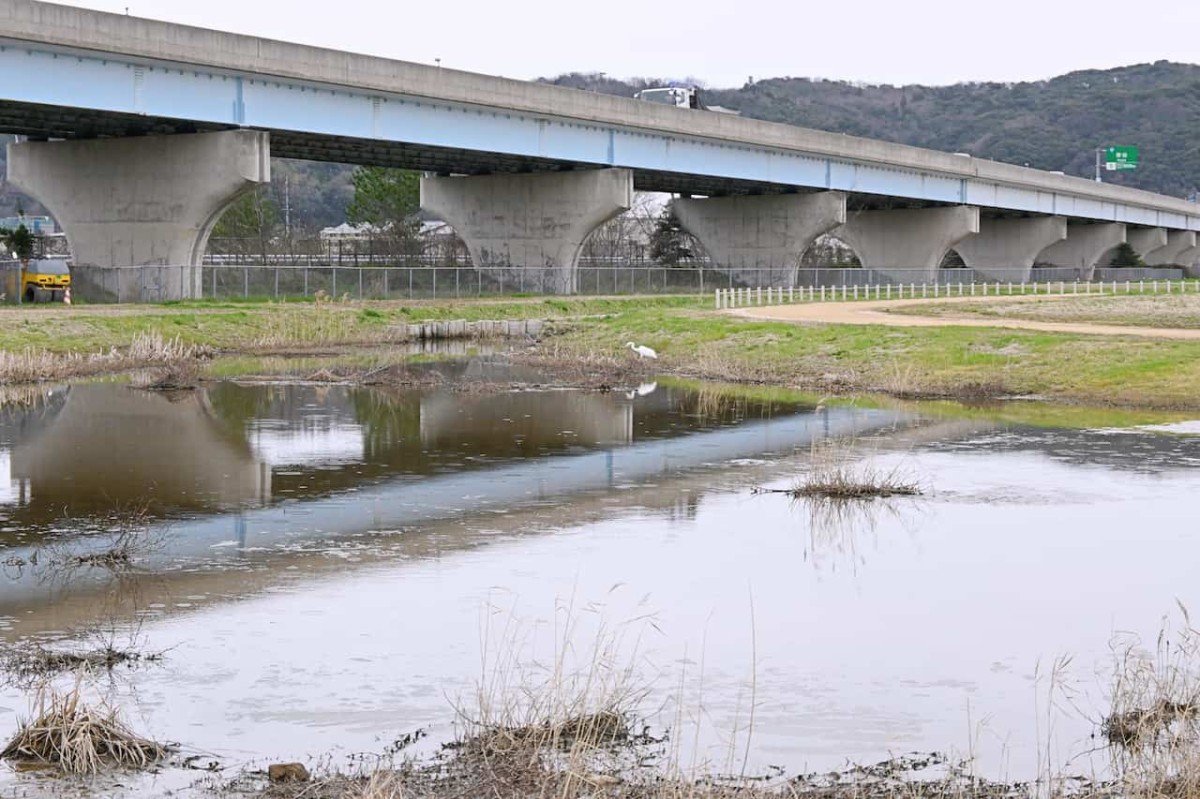 鳥取県青谷町にある『青谷かみじち史跡公園』の様子