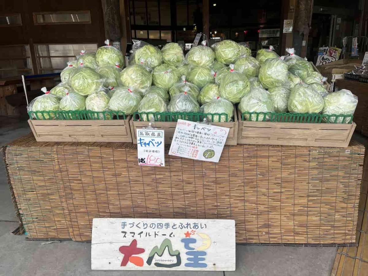 鳥取県西伯郡伯耆町にある『ご当地ファーム山の駅大山望』で販売している野菜