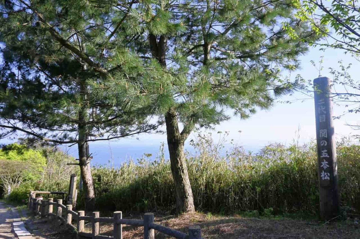 島根県松江市美保関にある『五本松公園』の「関の五本松」周辺