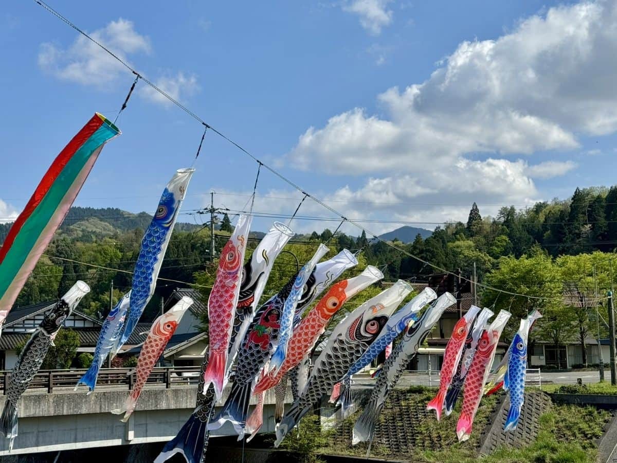 島根県奥出雲町八川の川辺に泳ぐ鯉のぼりの様子