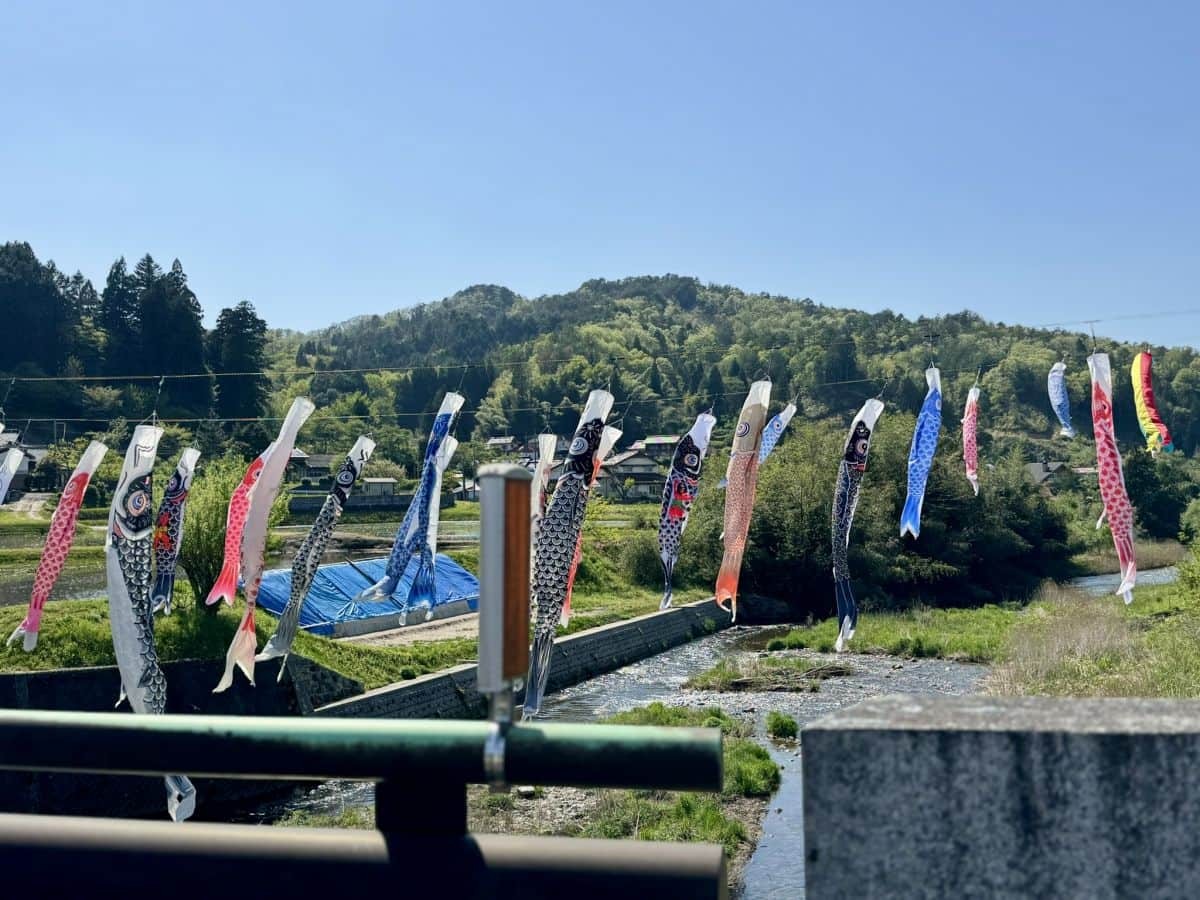 島根県奥出雲町八川の川辺に泳ぐ鯉のぼりの様子