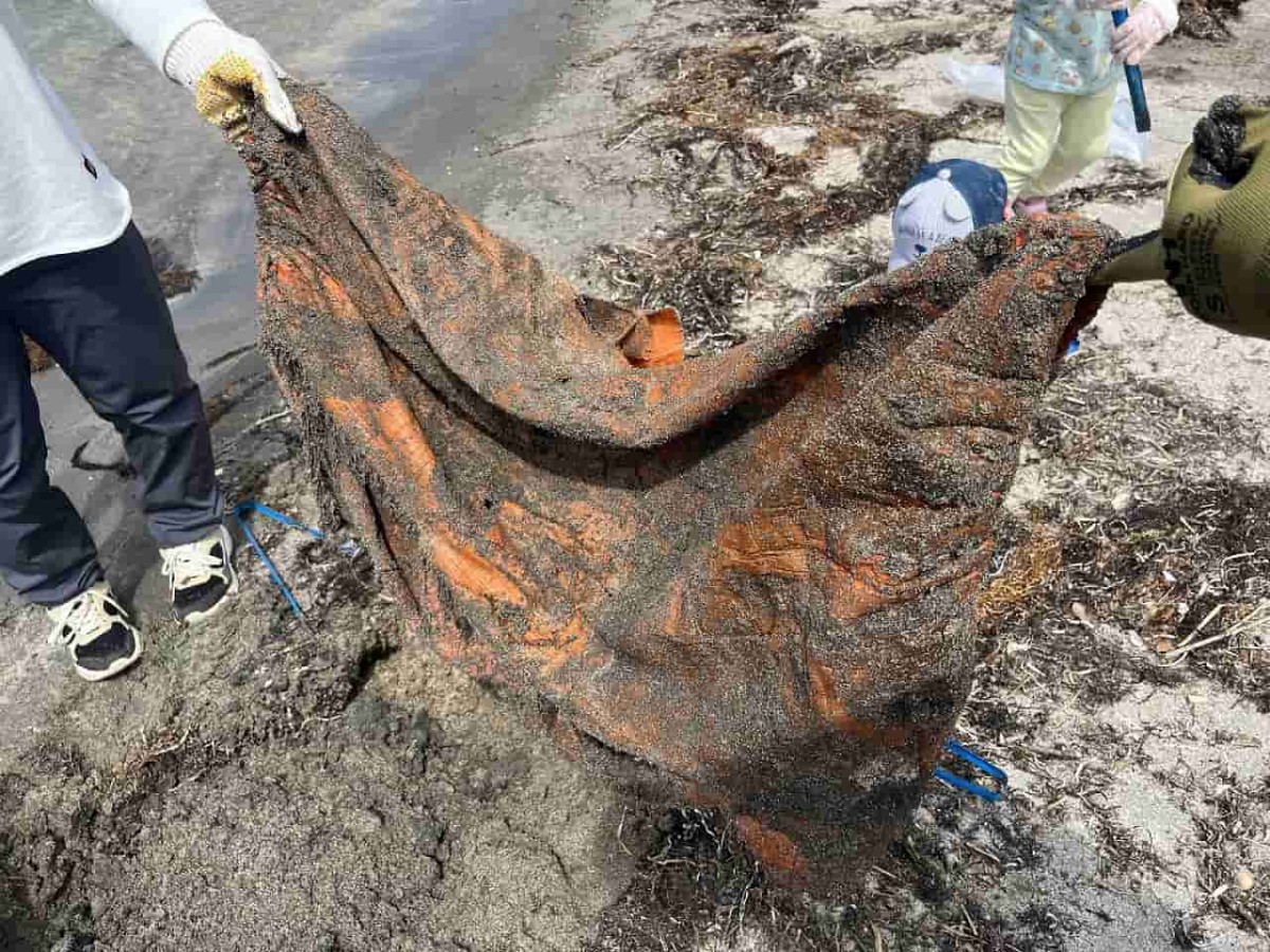 島根県隠岐郡隠岐の島町にある「塩の浜キャンプ場」でのビーチクリーン